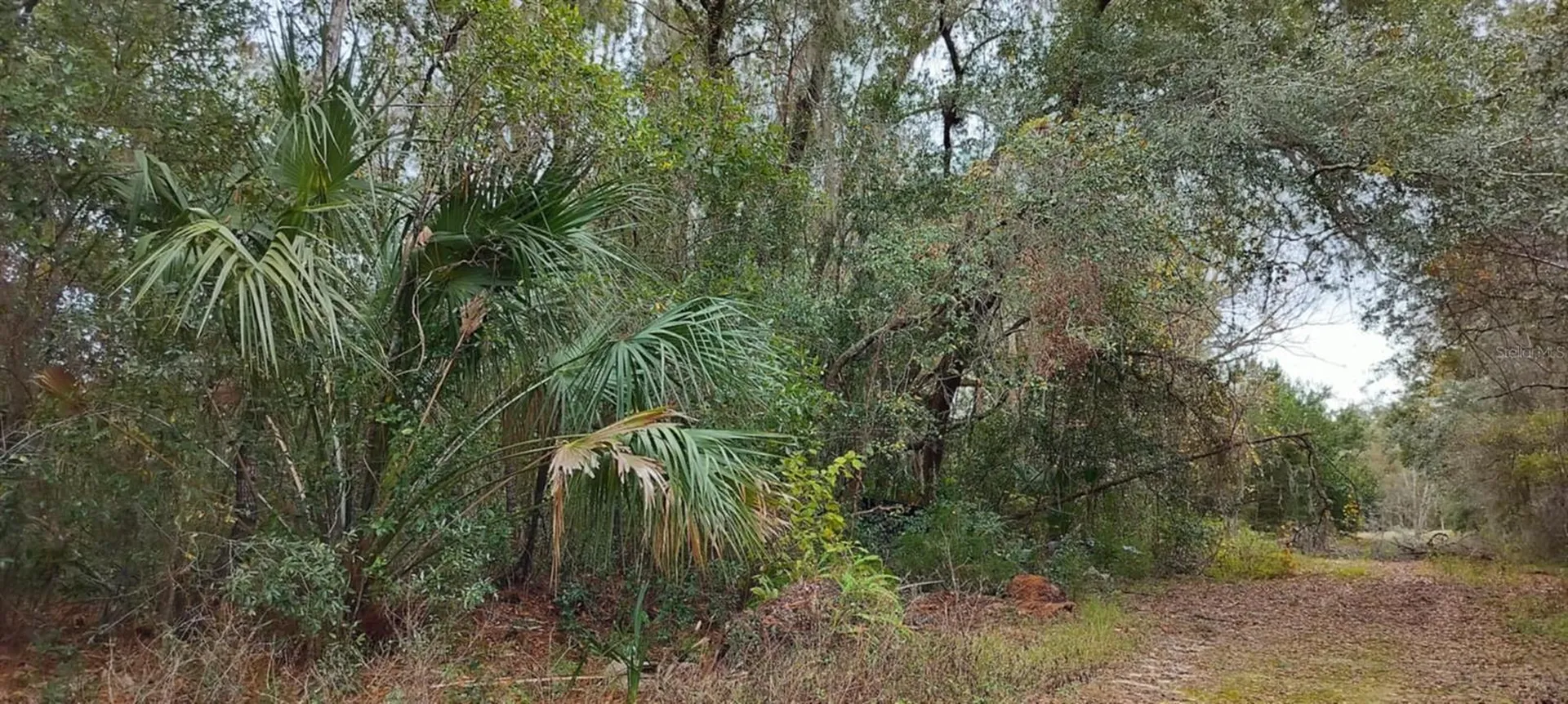 965 S Sally Terrace Inverness FL 34452