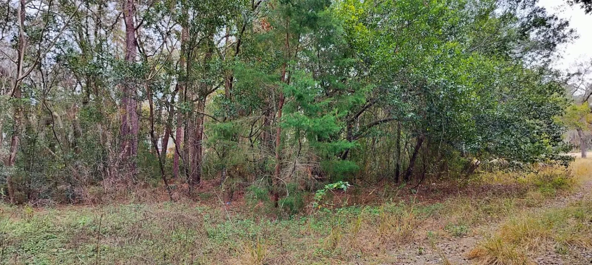965 S Sally Terrace Inverness FL 34452