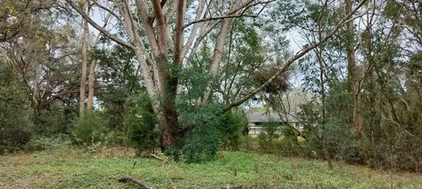 965 S Sally Terrace Inverness FL 34452