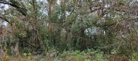 965 S Sally Terrace Inverness FL 34452