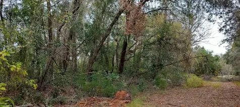 965 S Sally Terrace Inverness FL 34452