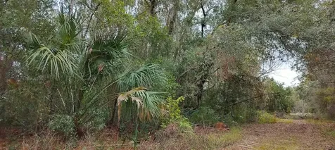 965 S Sally Terrace Inverness FL 34452
