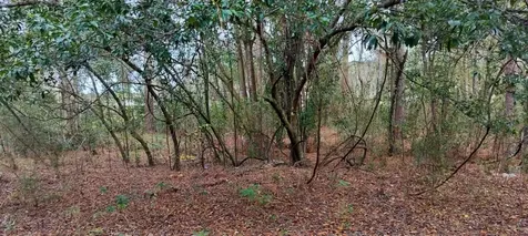 965 S Sally Terrace Inverness FL 34452