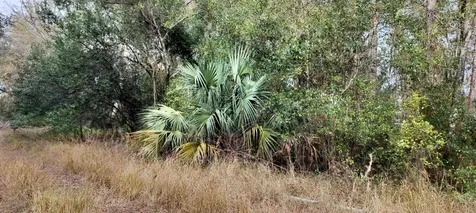 965 S Sally Terrace Inverness FL 34452