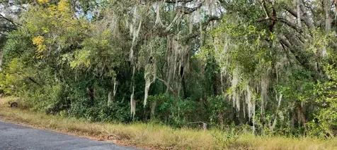 965 S Sally Terrace Inverness FL 34452