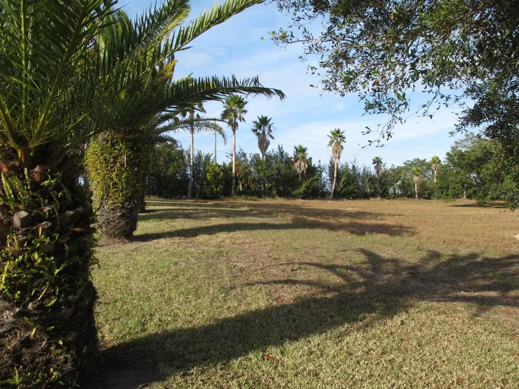 17200 Royal Palm Drive Groveland FL 34736