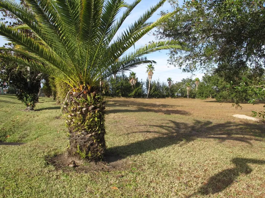 17200 Royal Palm Drive Groveland FL 34736