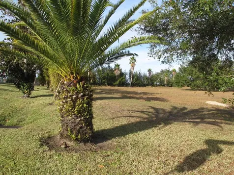 17200 Royal Palm Drive Groveland FL 34736