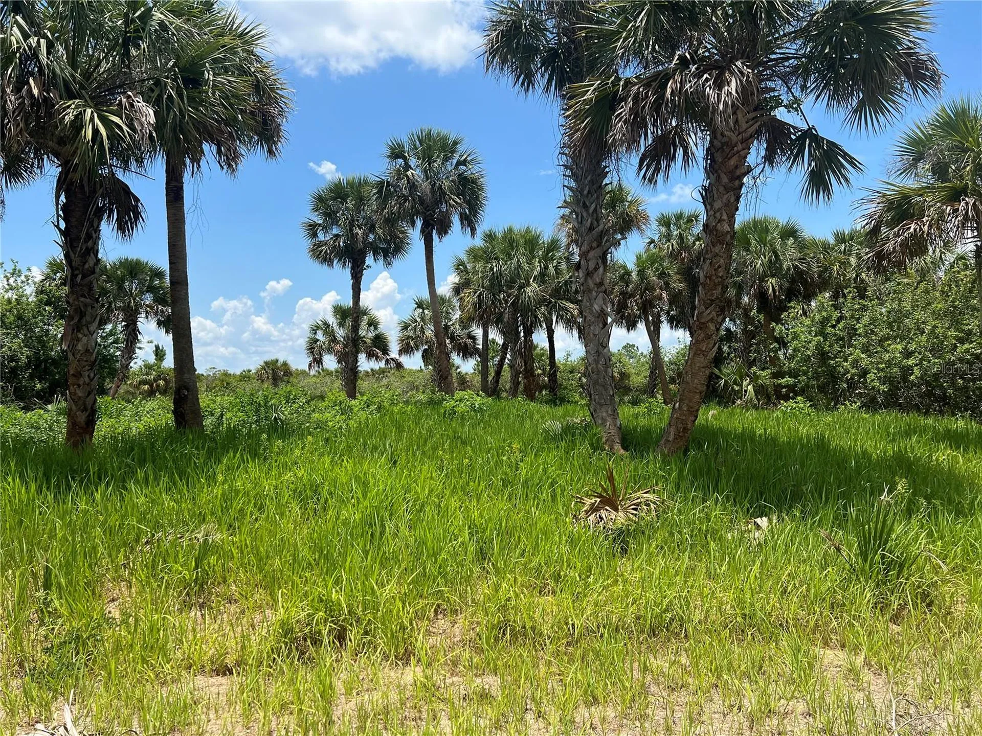3026 Sage Avenue SW Palm Bay FL 32908