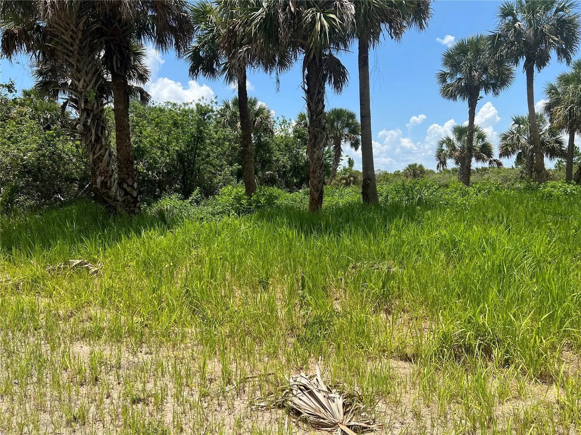 3026 Sage Avenue SW Palm Bay FL 32908