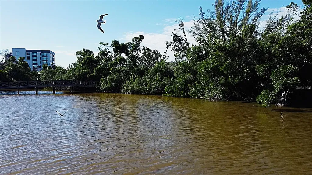 8534 Heron Lagoon Circle Sarasota FL 34242