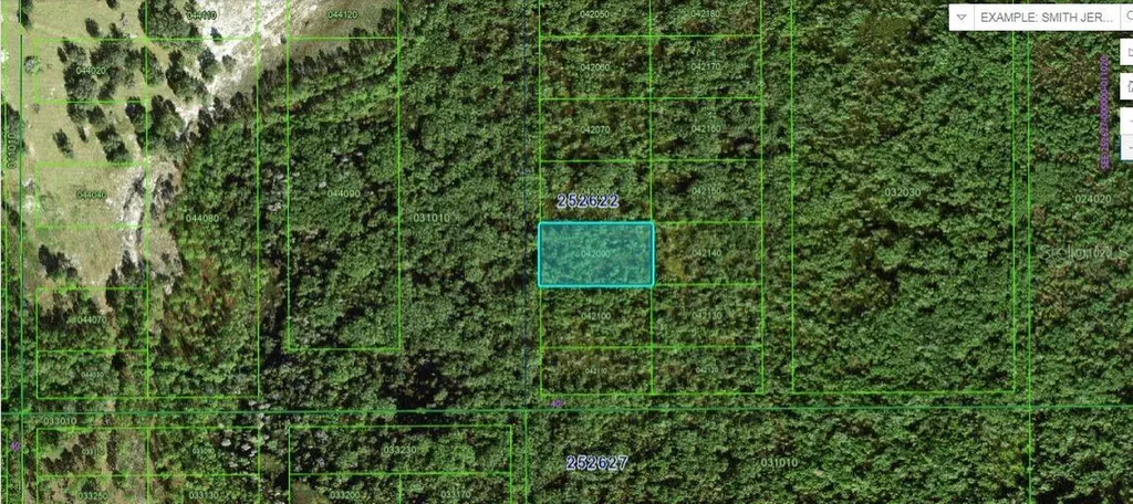 Commonwealth Avenue N Polk City FL 33868