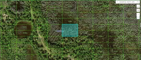 Old Grade Road Polk City FL 33868