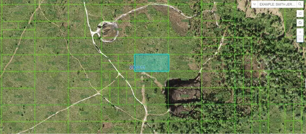 Tiger Lake Road Lake Wales FL 33898
