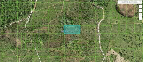 Tiger Lake Road Lake Wales FL 33898