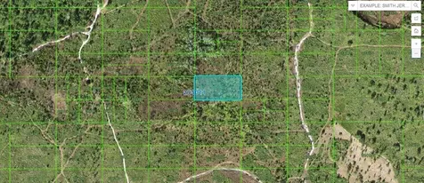 Tiger Lake Road Lake Wales FL 33898