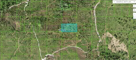 Tiger Lake Road Lake Wales FL 33898