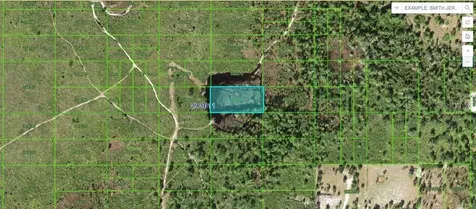 Tiger Lake Road Lake Wales FL 33898
