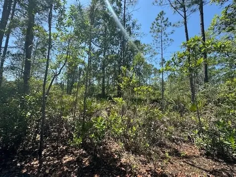 Ninemile Point Road Pierson FL 32180