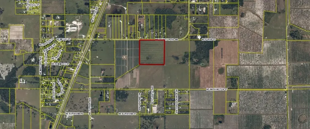 NE C0 Road 660 Arcadia FL 34266