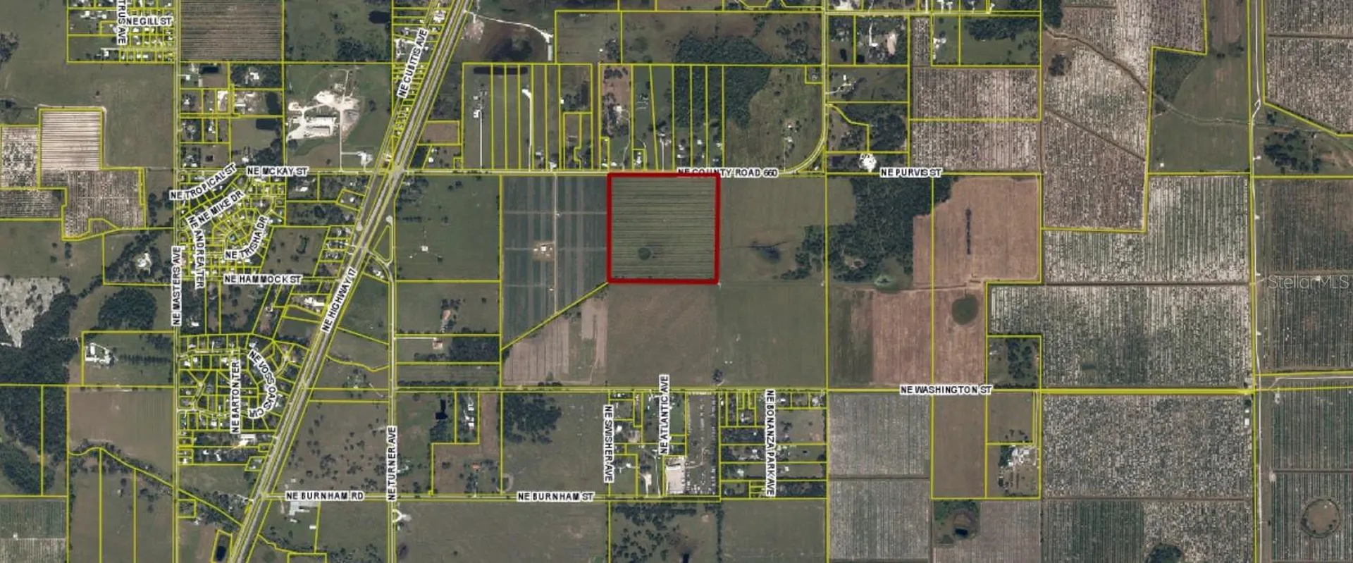 NE C0 Road 660 Arcadia FL 34266