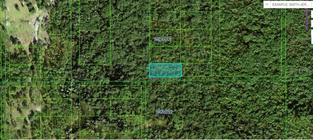 Commonwealth Avenue N Polk City FL 33868