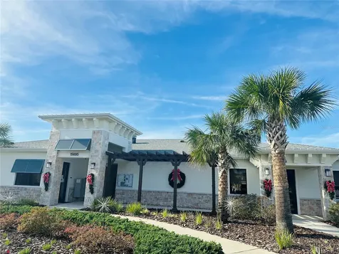 10118 Storey Grove Way Winter Garden FL 34787
