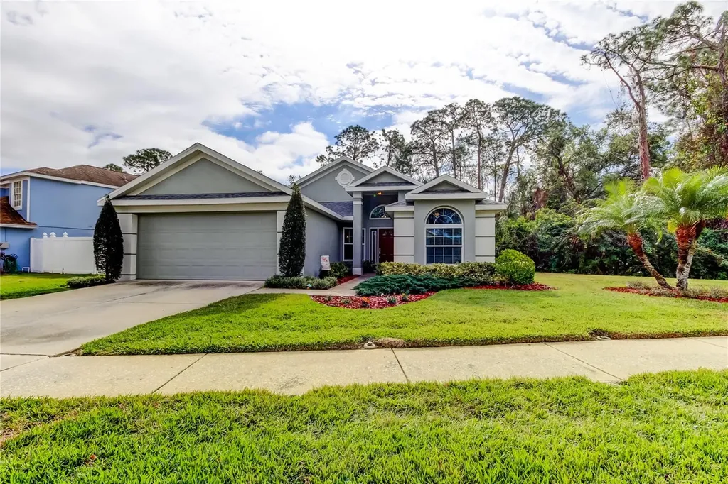 9702 Fredericksburg Road Tampa FL 33635