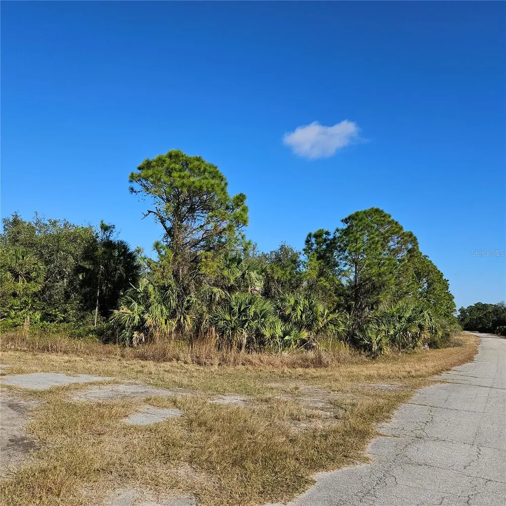 Custer Circle North Port FL 34288