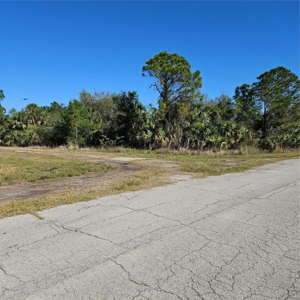Custer Circle North Port FL 34288
