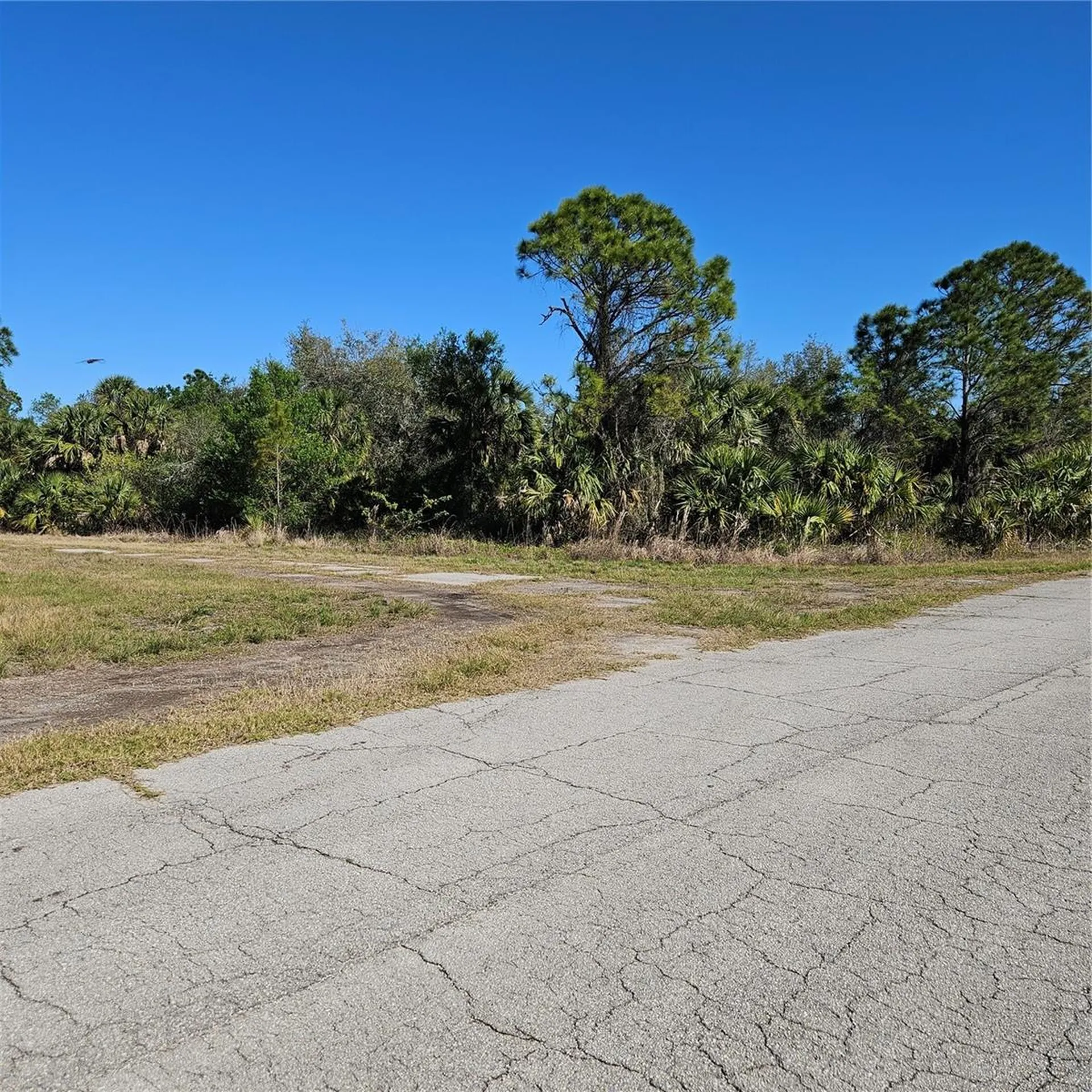 Custer Circle North Port FL 34288