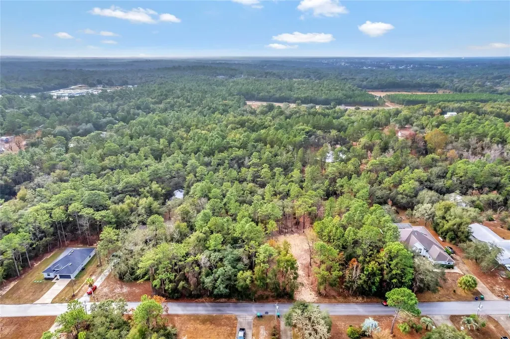 1716 E Bismark Street Hernando FL 34442