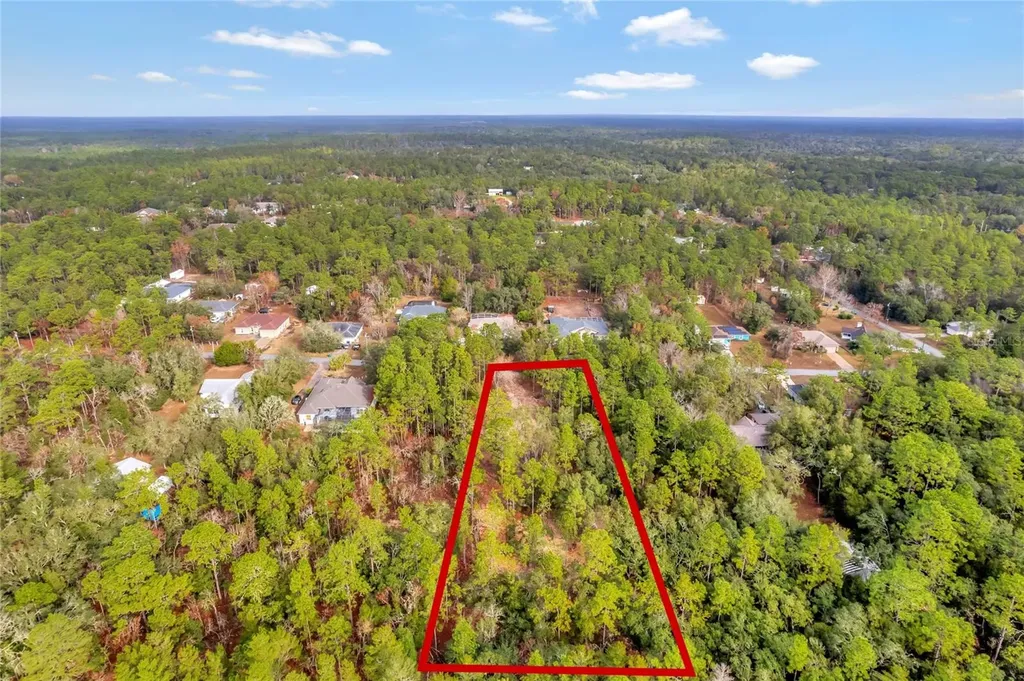1716 E Bismark Street Hernando FL 34442