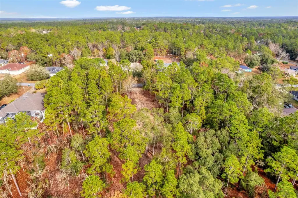 1716 E Bismark Street Hernando FL 34442