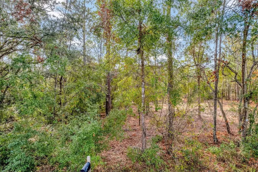 1716 E Bismark Street Hernando FL 34442