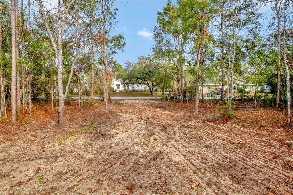 1716 E Bismark Street Hernando FL 34442