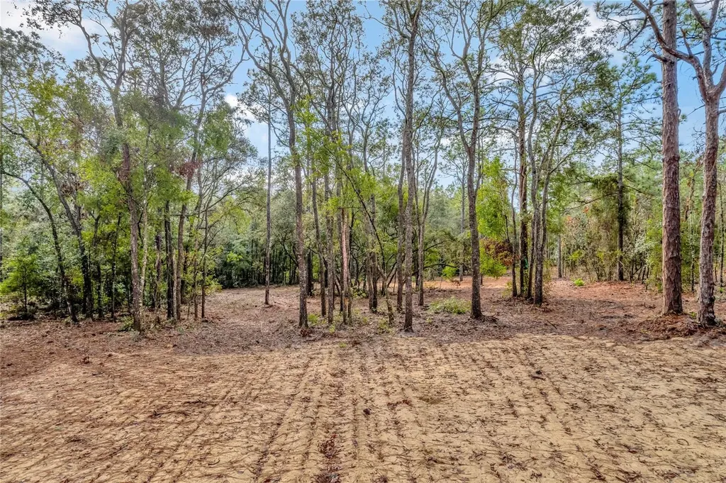 1716 E Bismark Street Hernando FL 34442