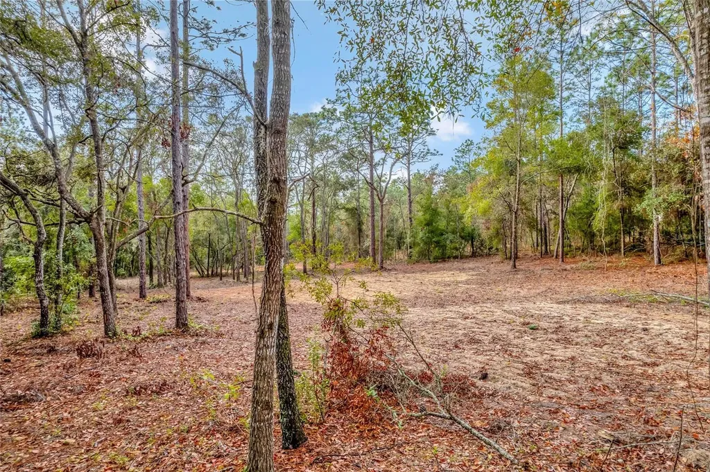 1716 E Bismark Street Hernando FL 34442