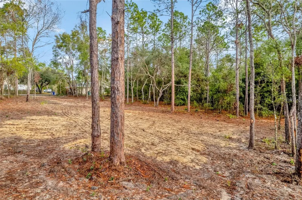1716 E Bismark Street Hernando FL 34442