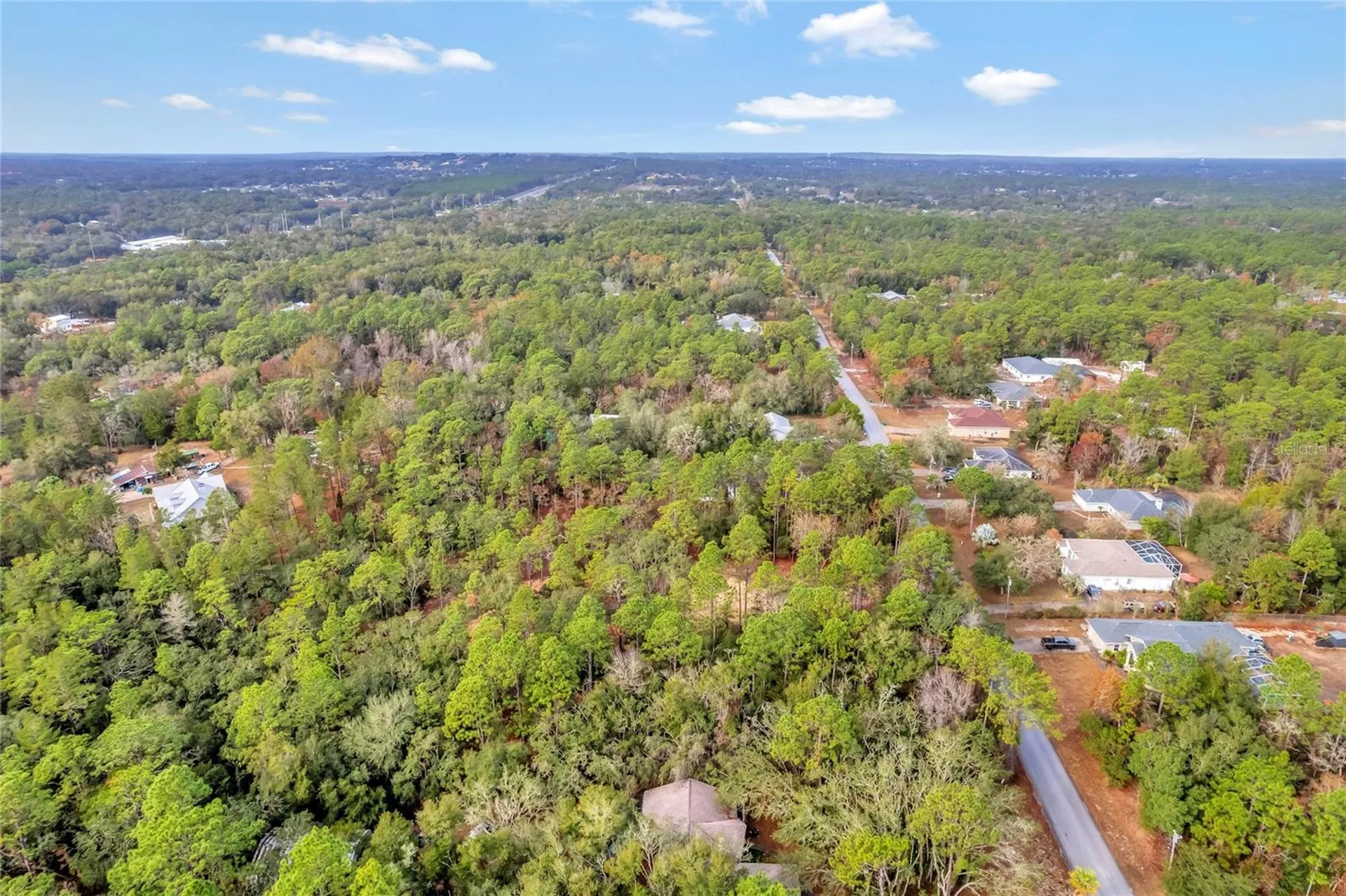 1716 E Bismark Street Hernando FL 34442