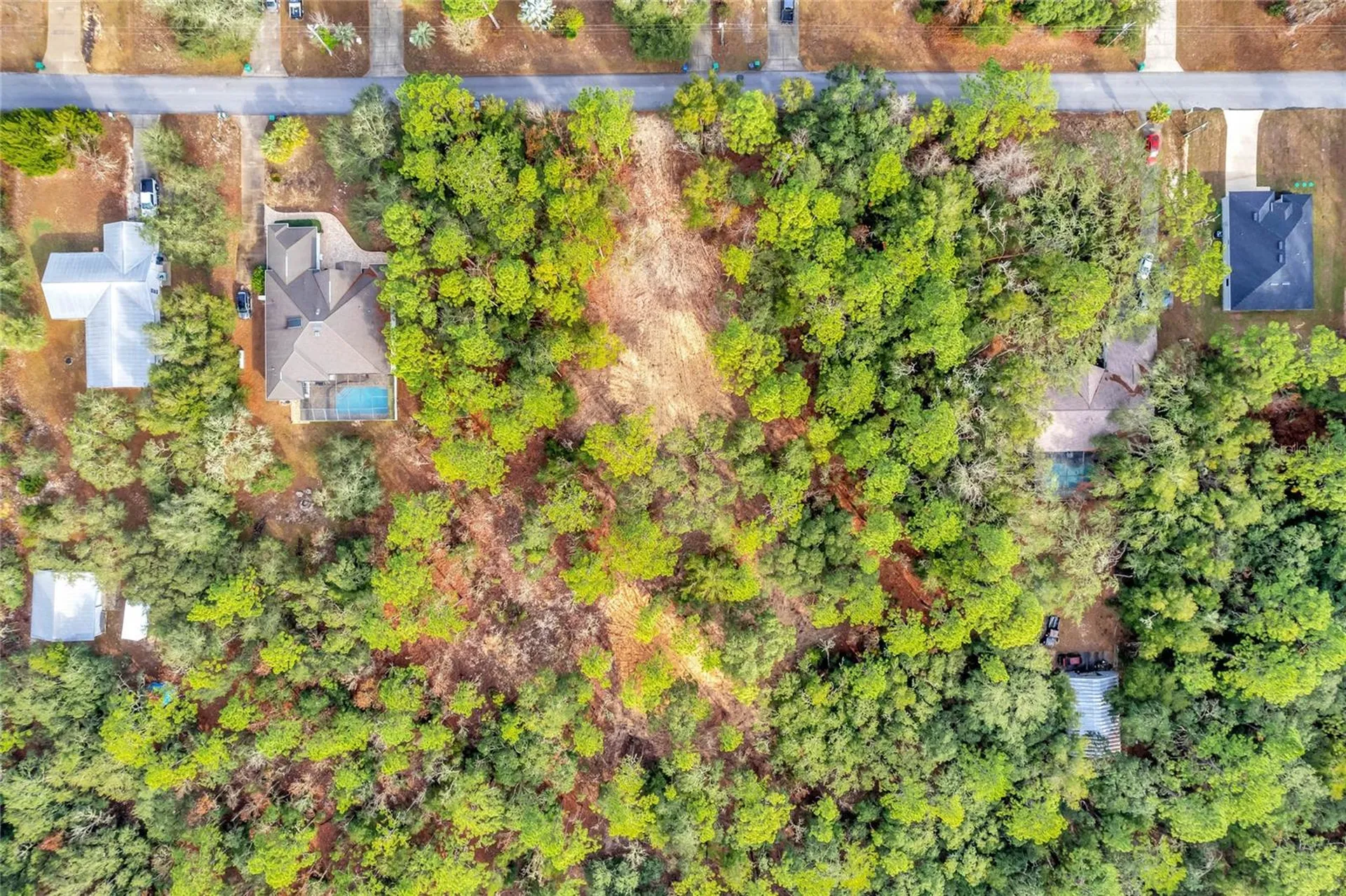 1716 E Bismark Street Hernando FL 34442