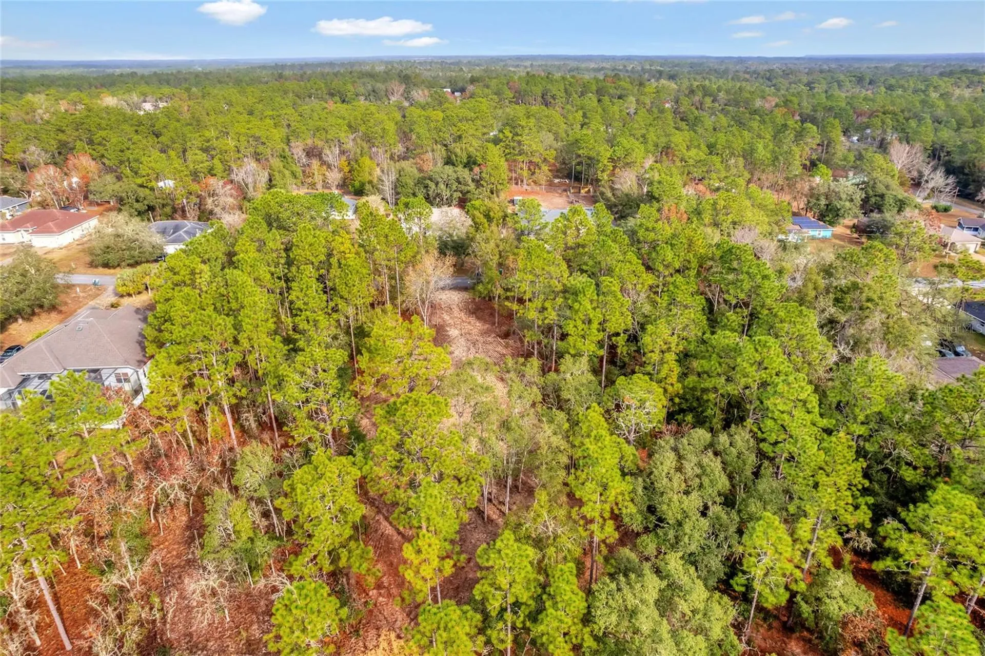 1716 E Bismark Street Hernando FL 34442