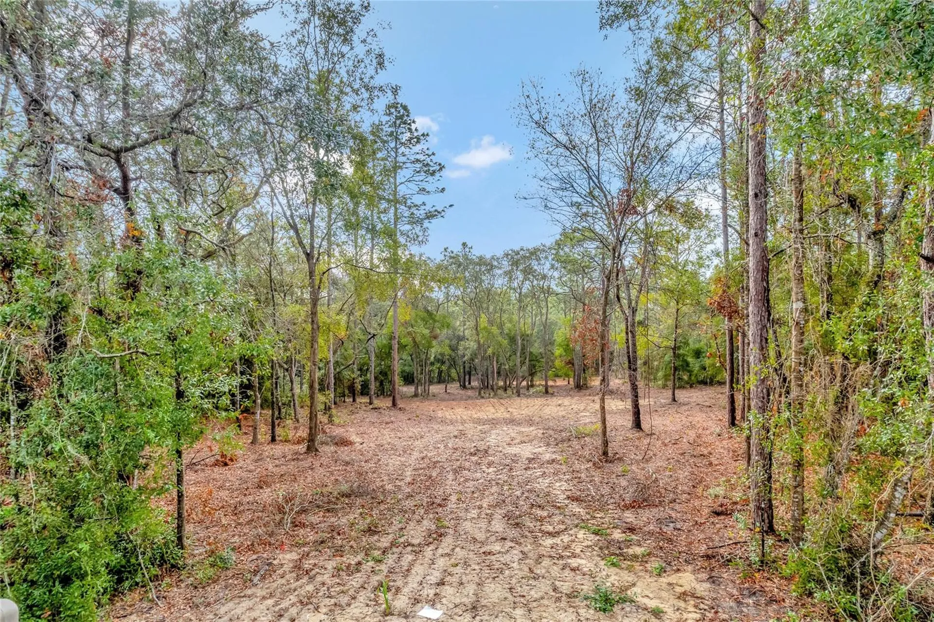 1716 E Bismark Street Hernando FL 34442