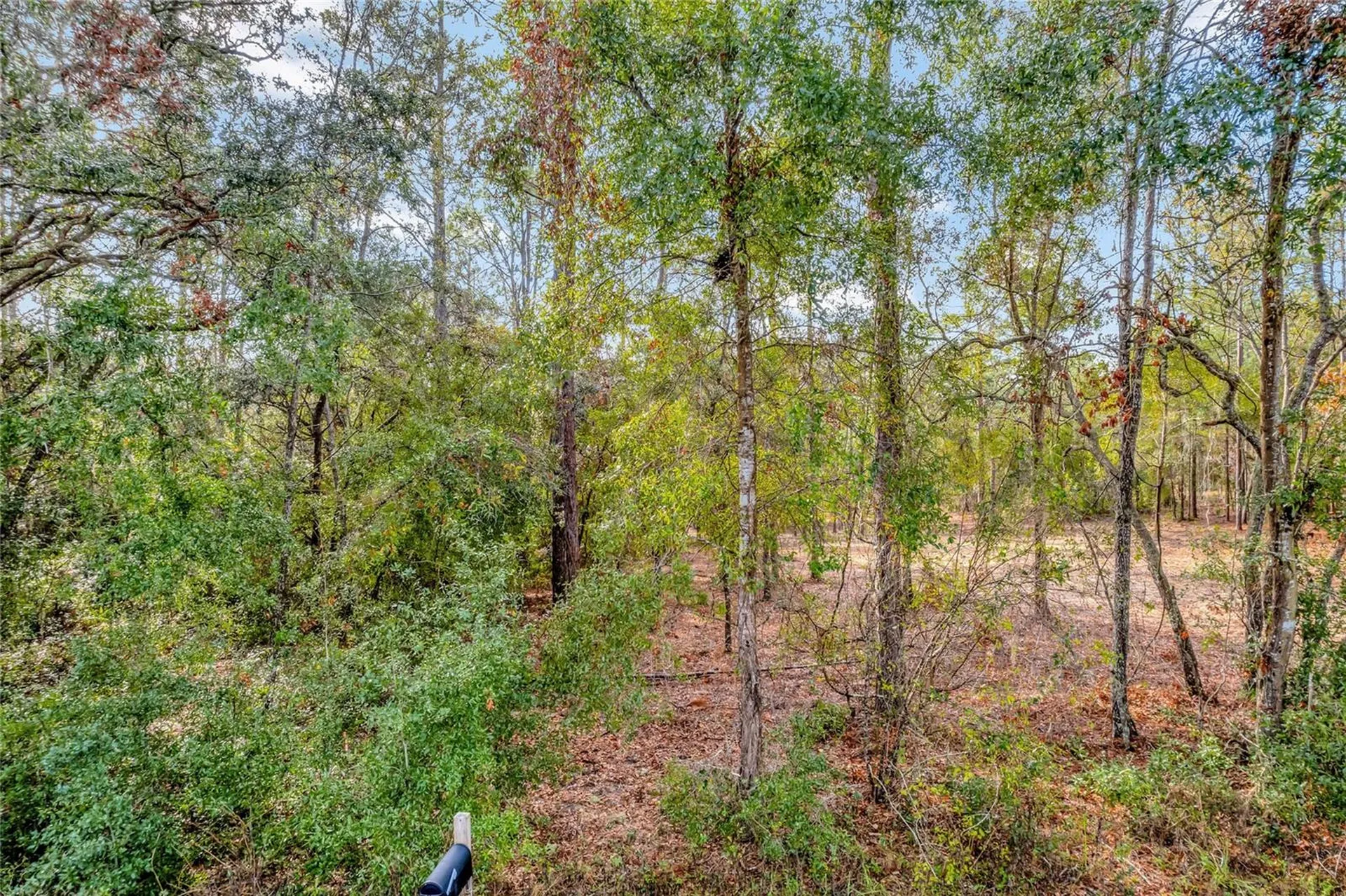 1716 E Bismark Street Hernando FL 34442