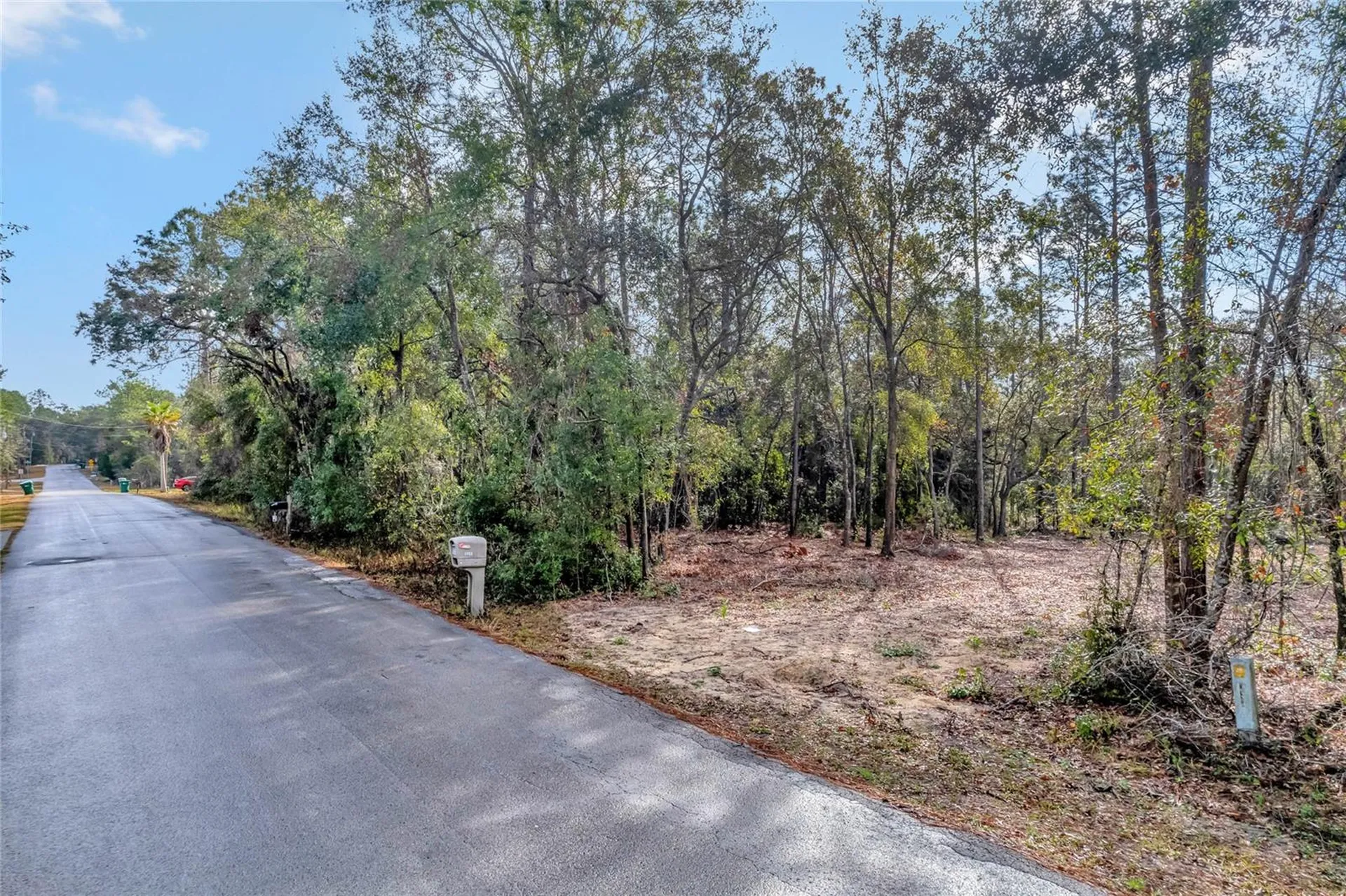 1716 E Bismark Street Hernando FL 34442