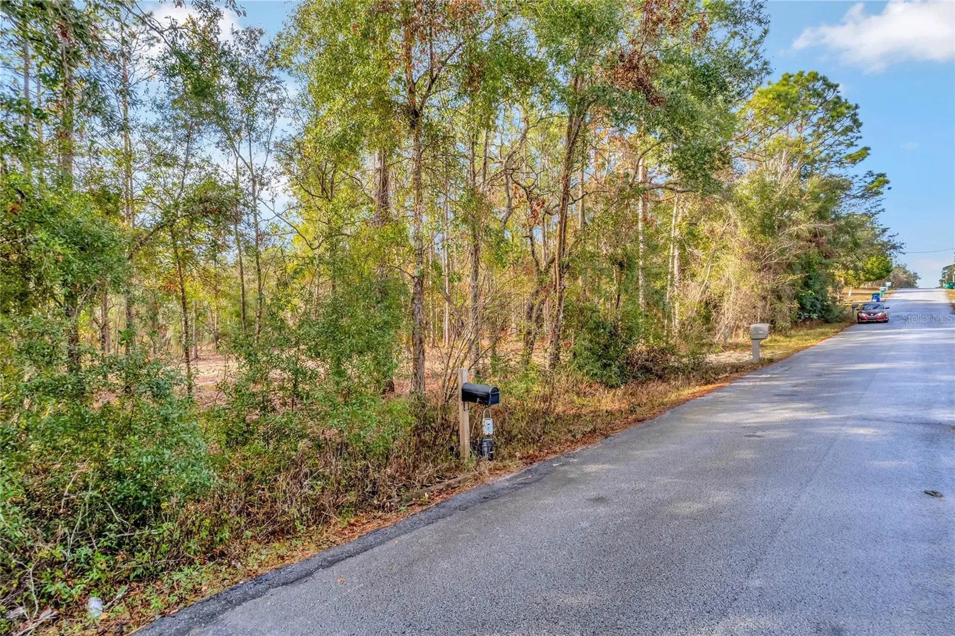 1716 E Bismark Street Hernando FL 34442