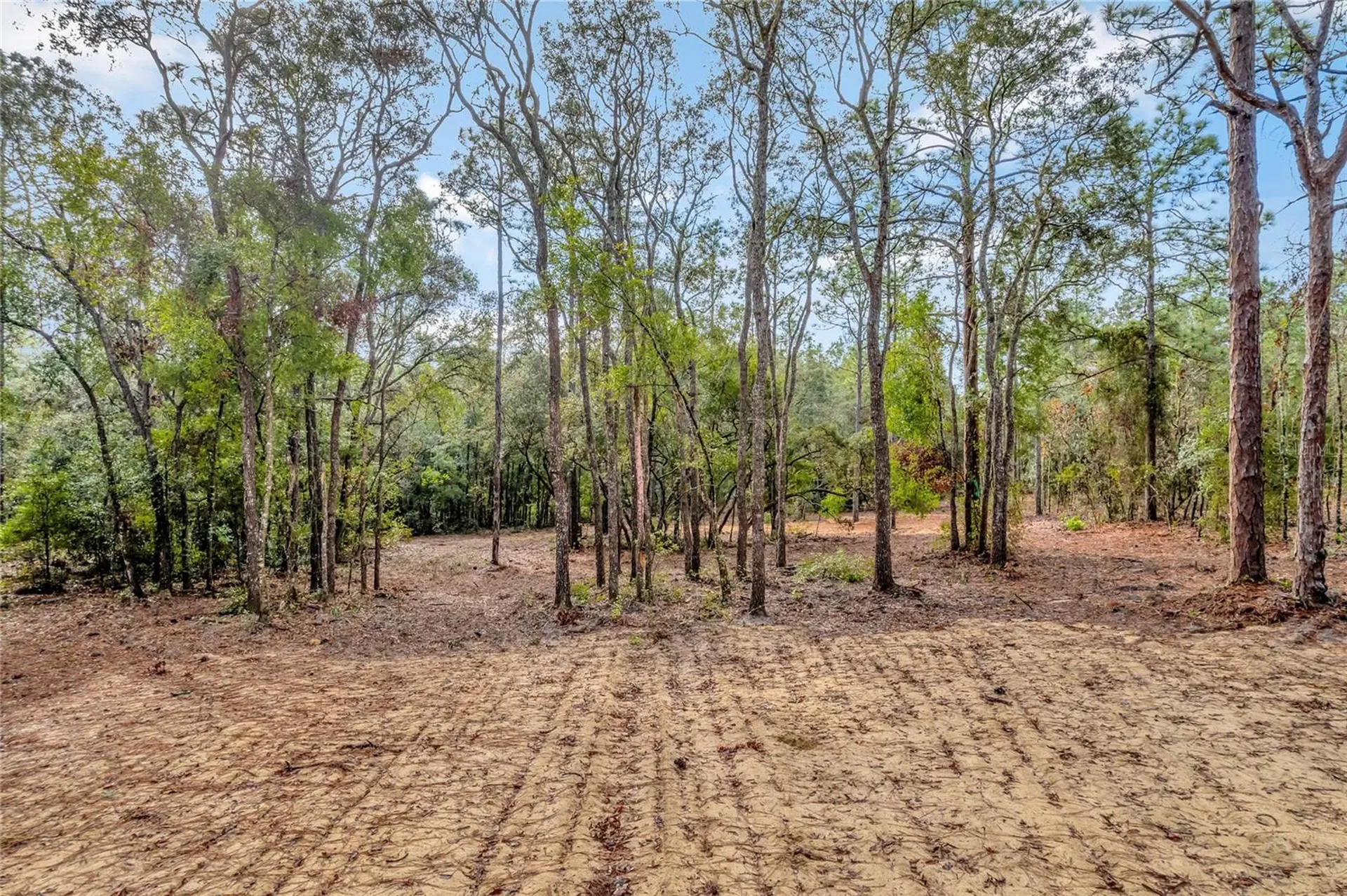 1716 E Bismark Street Hernando FL 34442