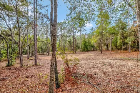 1716 E Bismark Street Hernando FL 34442