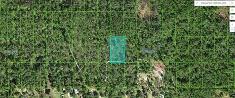 Hesperides Road Lake Wales FL 33898