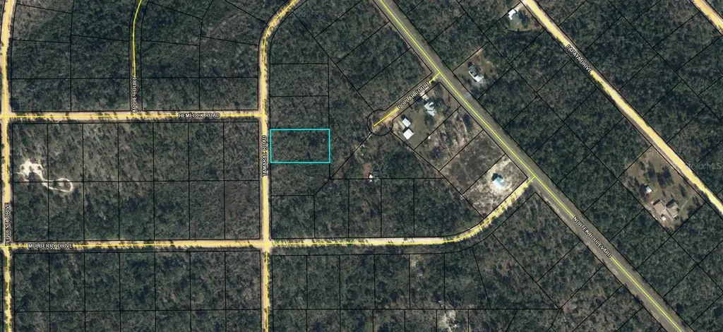 00 Tamarac Road Marianna FL 32448